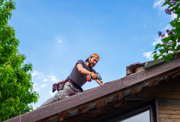 Roof Maintenance